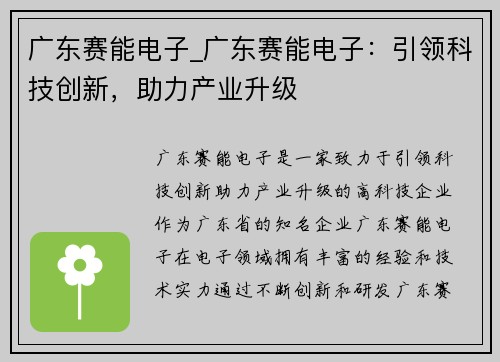 广东赛能电子_广东赛能电子:引领科技创新,助力产业升级